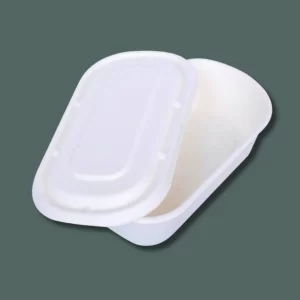 Sugarcane bagasse plates- Oval container 500ml with lid